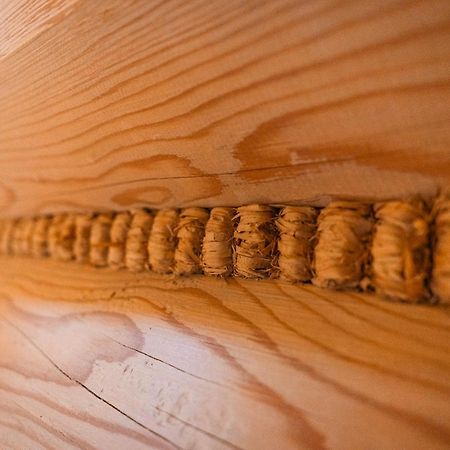 Apartamenty Dwupoziomowe Stasikowe Izby Bukowina Tatrzańska Zewnętrze zdjęcie